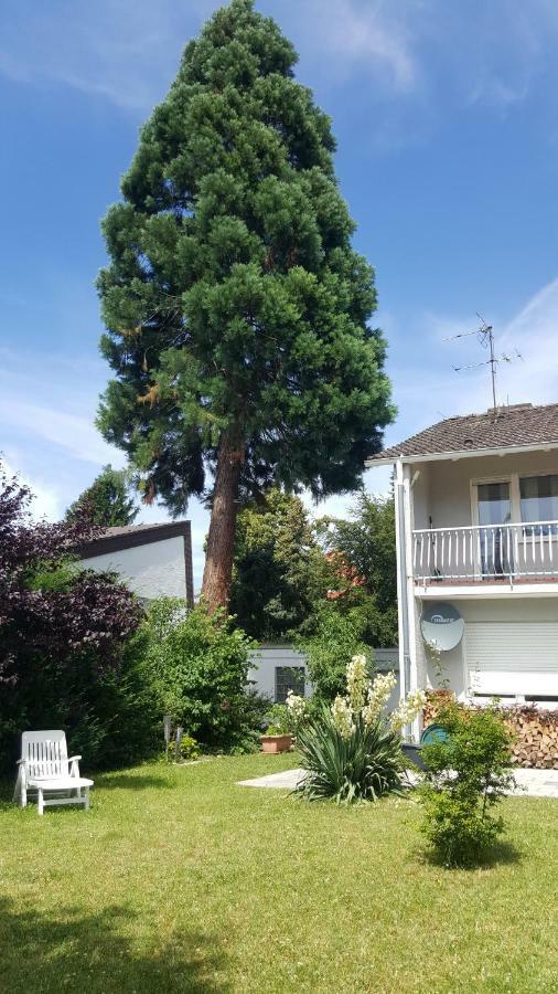 Ferienwohnung Schlossblick Bensheim Exterior foto